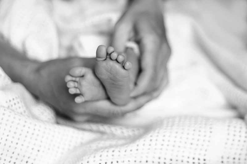 Newborn foceni miminek
