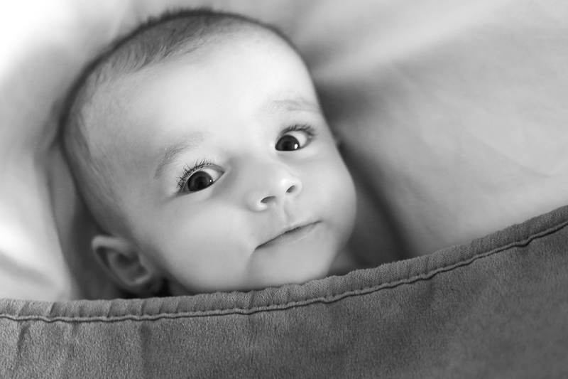 Newborn foceni miminek